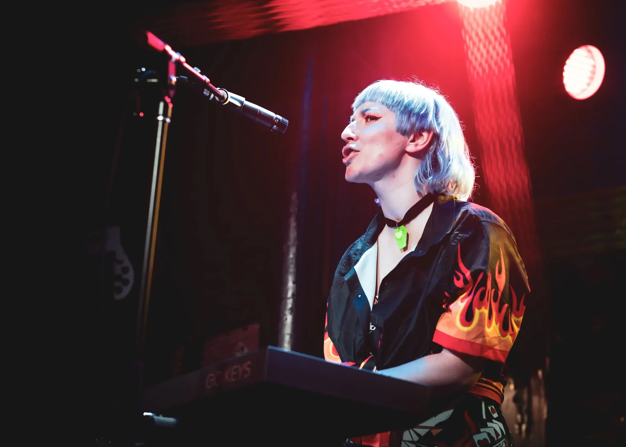 The Lily Dippers Crowd shot