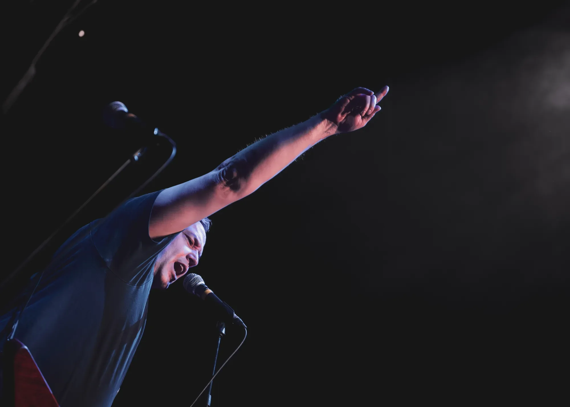 Space Chimp performing 